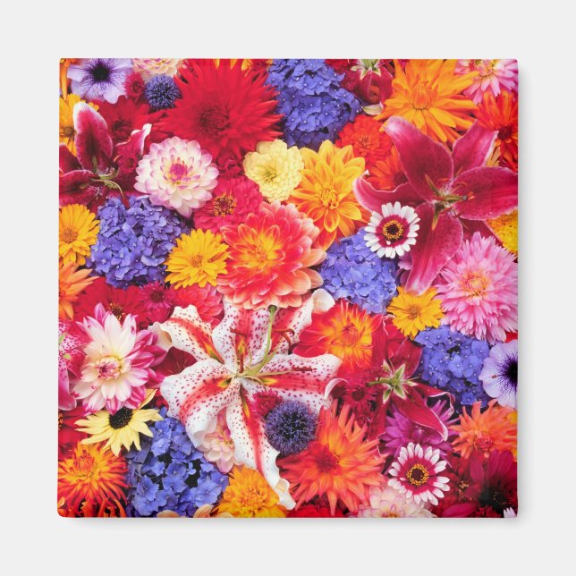 Dalhias, Oriental Lilies, blommans utformning Magnet (Framsidan)