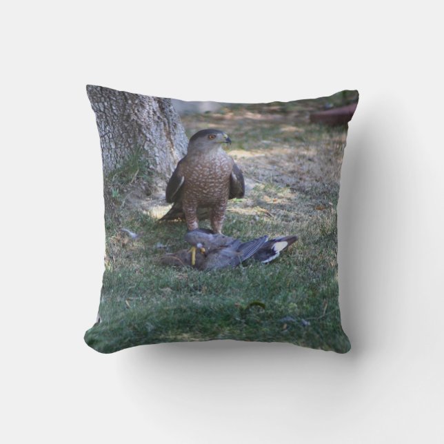 Dålig dag att vara en sorgedag - stängning av Falc Kudde (Framsida)