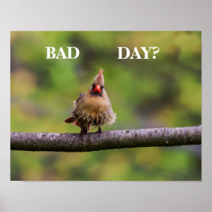 Dålig dag? poster