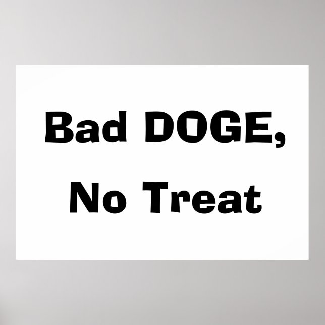 Dålig DOGE, Inget Gods Poster (Framsidan)
