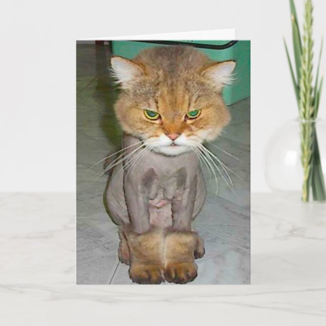 dålig födelsedag kort (Framsida)