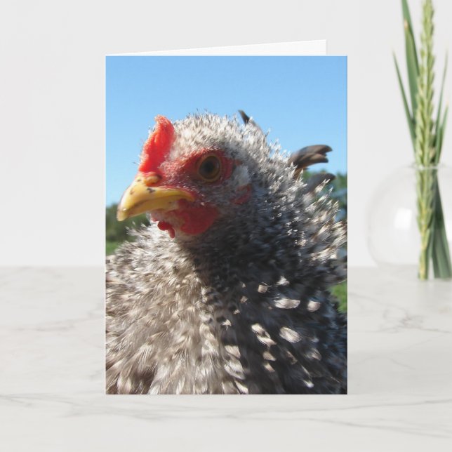 Dålig hårdag ibland kort (Framsida)