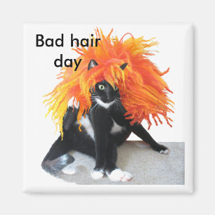 Dålig hårdag magnet