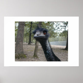 Dålig hårdag poster