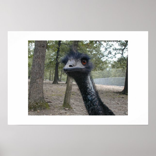 Dålig hårdag poster (Framsidan)