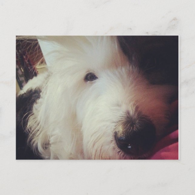 Dålig hårdag! vykort (Framsida)