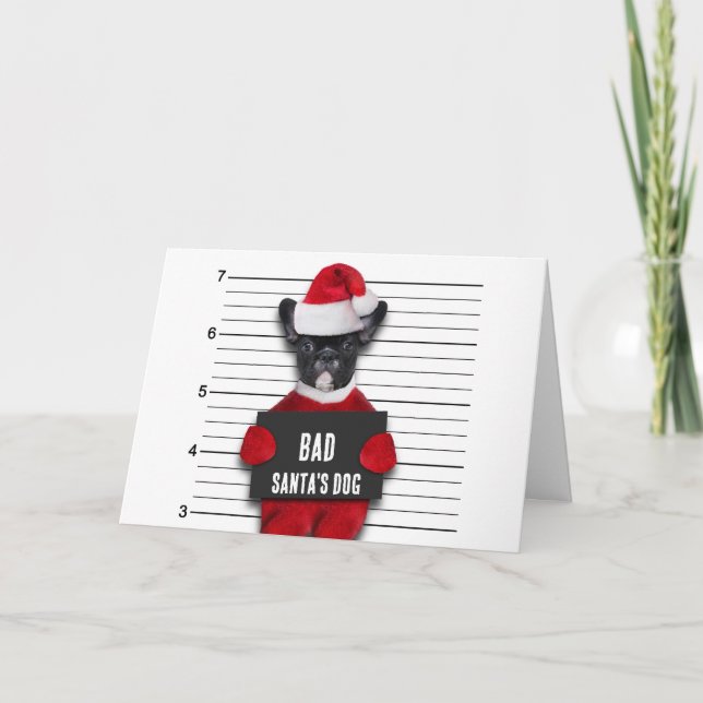 Dålig jultomts Hund Mugshot Funny jul Kort (Framsida)