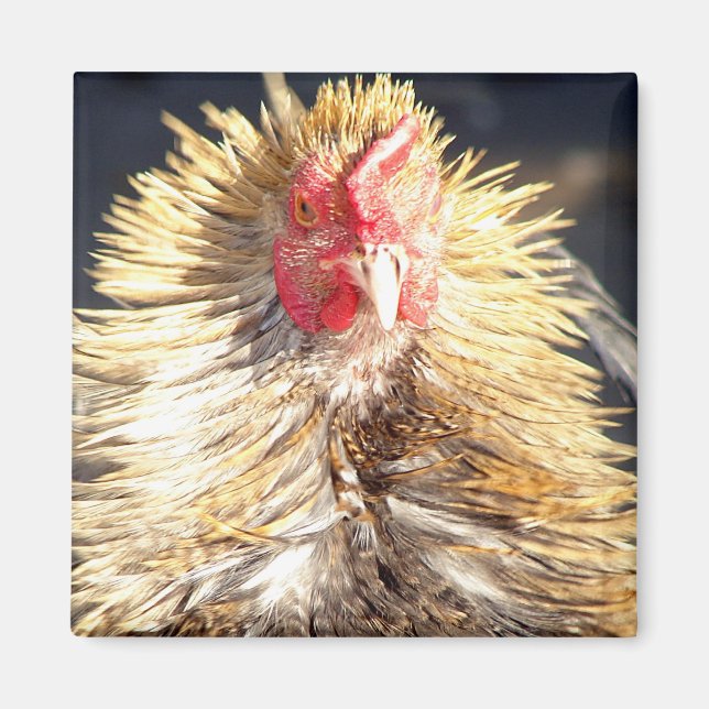 Dålig ludderdag magnet (Framsidan)