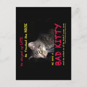 Dåliga Kitty vykort