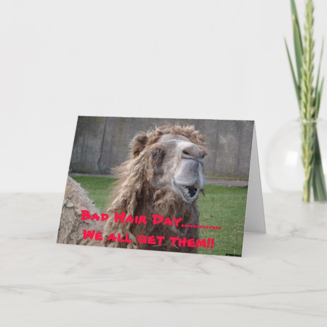 Dåligahårdag, dåligahårdag ............. oss allt kort (Framsida)