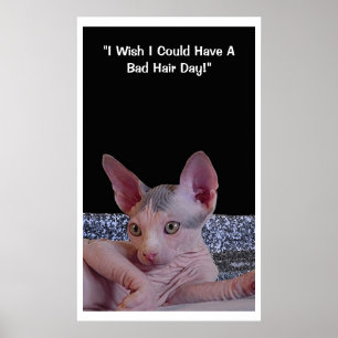 "Dåligahårdag ", Poster