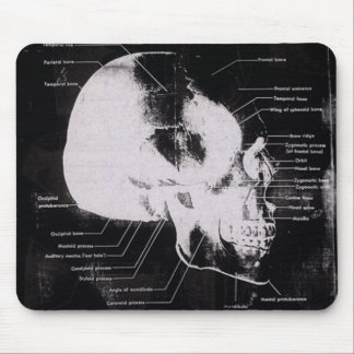 Dåligapojkemusen vadderar musmatta