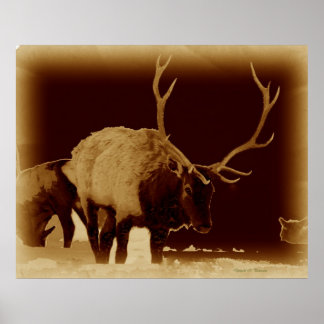 dåligt 2 ben poster