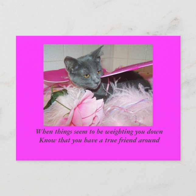 Dåligt kort. vykort (Framsida)