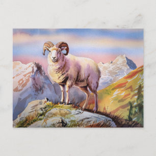 Dall Sheep Ram på ett majestiskt berg Vykort