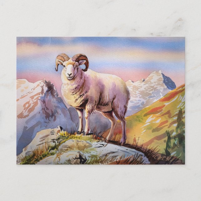 Dall Sheep Ram på ett majestiskt berg Vykort (Framsida)