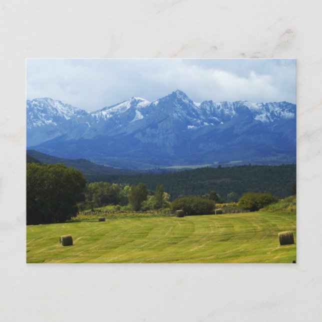 Dallas Divide Vykort (Framsida)