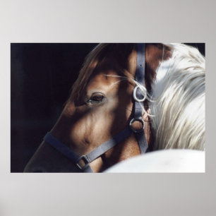 Dallas Skriv ut Poster