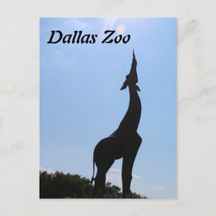 Dallas Zoo Vykort