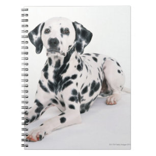 Dalmatian 4 anteckningsbok med spiral