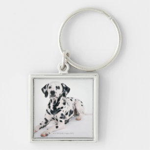 Dalmatian 4 fyrkantig silverfärgad nyckelring