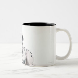 Dalmatian 4 Två-Tonad mugg