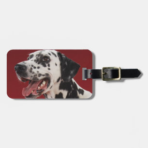 Dalmatian Bagagebricka