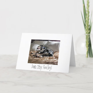 Dalmatian. Besegra. Stag. Bra pojke! Kort