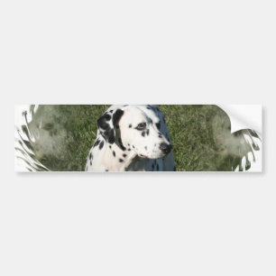 Dalmatian bildekal