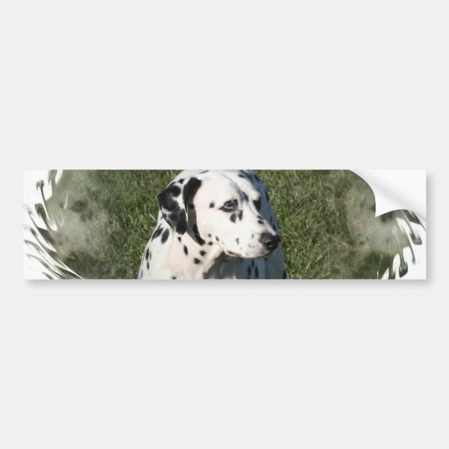 Dalmatian bildekal (Framsidan)