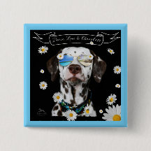 Dalmatian för fredkärlekchoklad