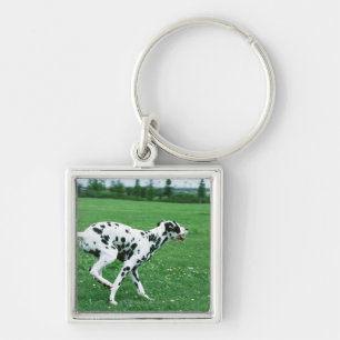 Dalmatian Fyrkantig Silverfärgad Nyckelring