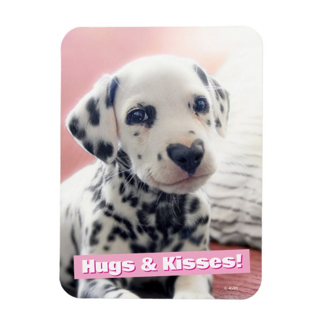 Dalmatian Heart Nose Magnet (Vertikal)
