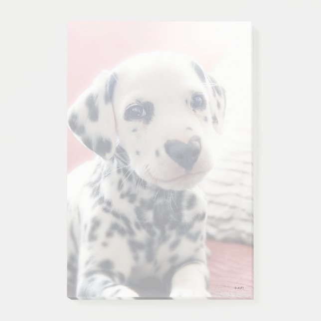 Dalmatian Heart Nose Post-it Block (Framsida)