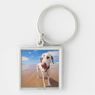 Dalmatian hund på strand fyrkantig silverfärgad nyckelring