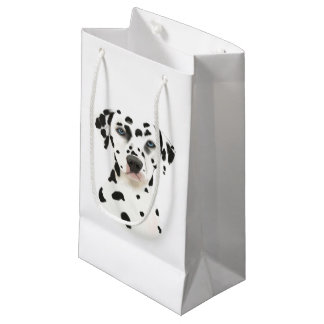 Dalmatian hundkonst