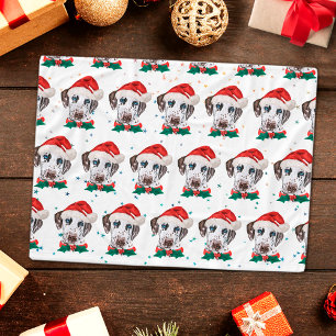 Dalmatian Hundras Jul Fleecefilt