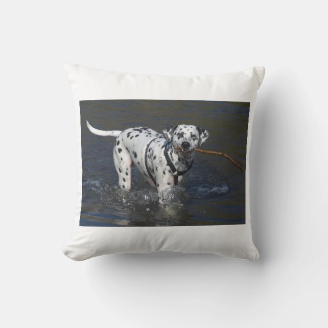 dalmatian-in-vatten.png kudde (Framsida)