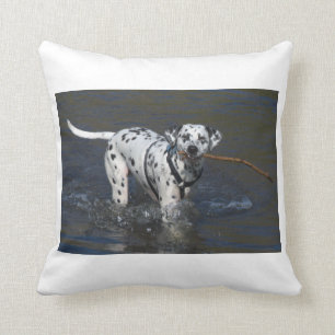 dalmatian-in-vatten.png kudde