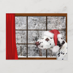 Dalmatian jul helg vykort
