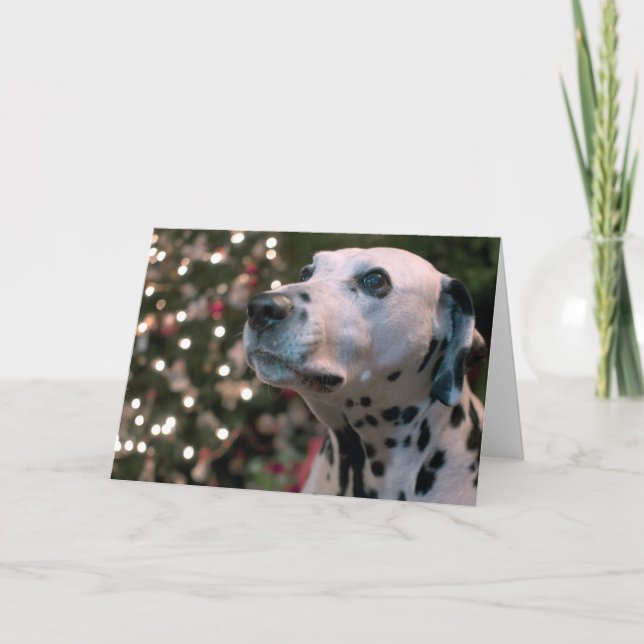 Dalmatian jul helgkort (Framsida)