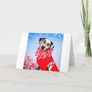 Dalmatian jul helgkort
