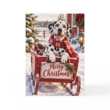 Dalmatian Julkort