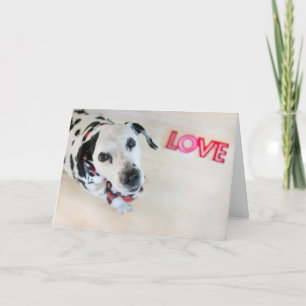 Dalmatian kärlekvalentineskort helgkort