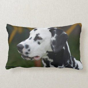 Dalmatian med fläckar lumbarkudde