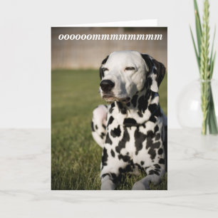 Dalmatian meditation kort