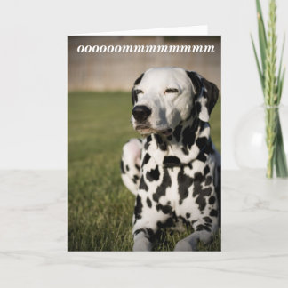 Dalmatian meditation kort