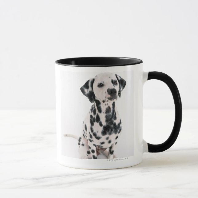 Dalmatian Mugg (Höger)