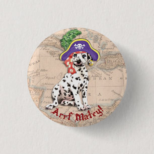 Dalmatian pirat knapp