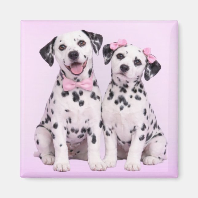 Dalmatian Puppy Love – Valentine Dog Couple Magnet (Framsidan)